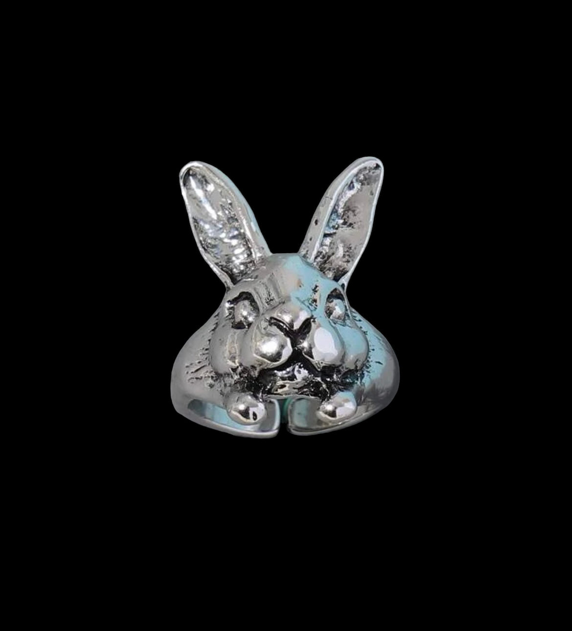 Wonderland: Curated Collection