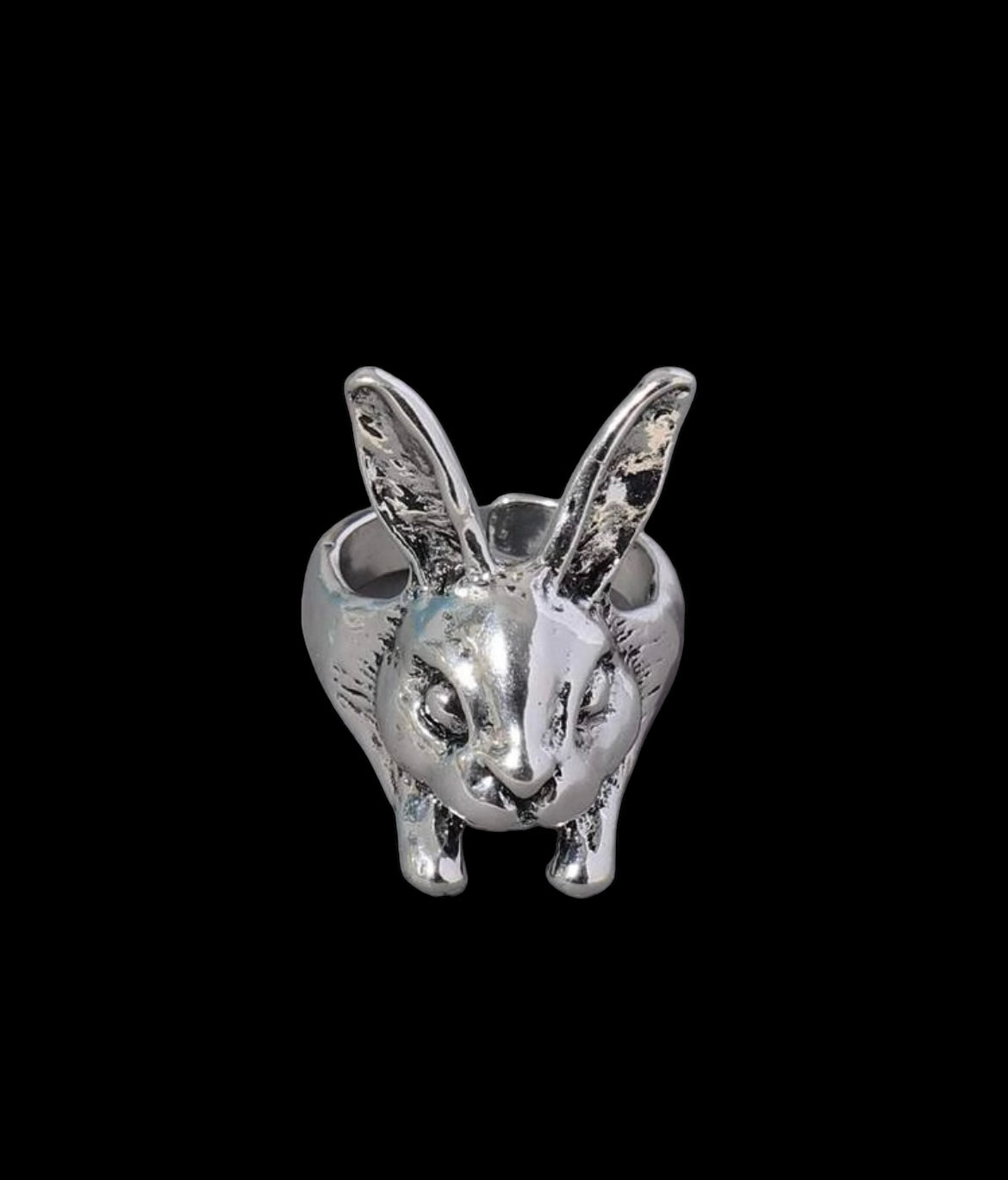 Wonderland: Curated Collection